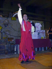 flamenco.jpg (8536 Byte)